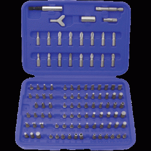 100 Pc. Security Bit Set